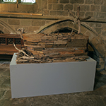 Ark Recovery at St Nicholas Cathedral